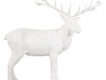 White Stag Discount