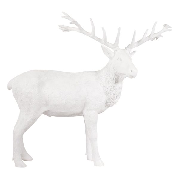 White Stag Discount