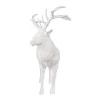 White Stag Discount