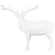 White Stag Discount