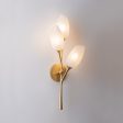 Aldean Wall Sconce on Sale