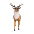 Walking Stag Hot on Sale