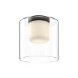 Birch Ceiling Light on Sale