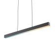 Boulevard RGB+CCT Smart Pendant Pro For Discount