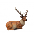 Laying Stag on Sale