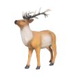 Walking Stag Hot on Sale