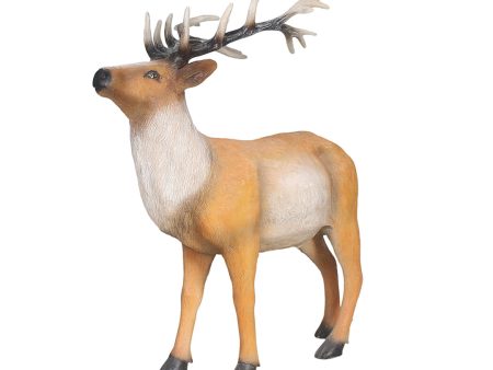 Walking Stag Hot on Sale