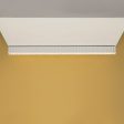 Calipso Linear Ceiling Light Cheap