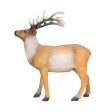 Walking Stag Hot on Sale