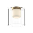 Birch Ceiling Light on Sale