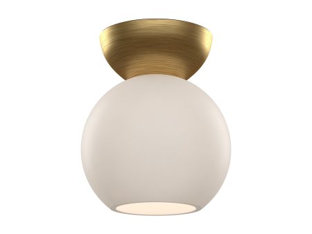 Arcadia Ceiling Light For Cheap